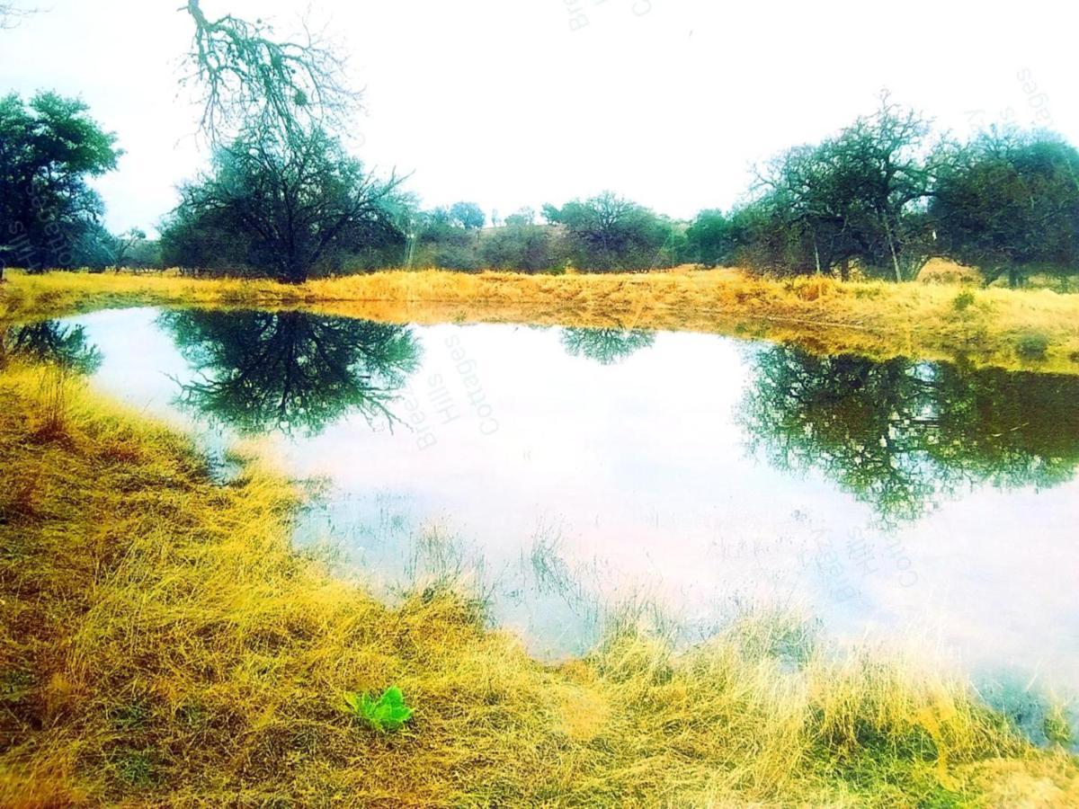 Teich Hutte Pond Cottage Rocky Hill Esterno foto